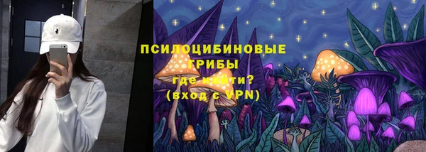 PSILOCYBIN Елабуга