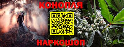 прущие грибы Ипатово