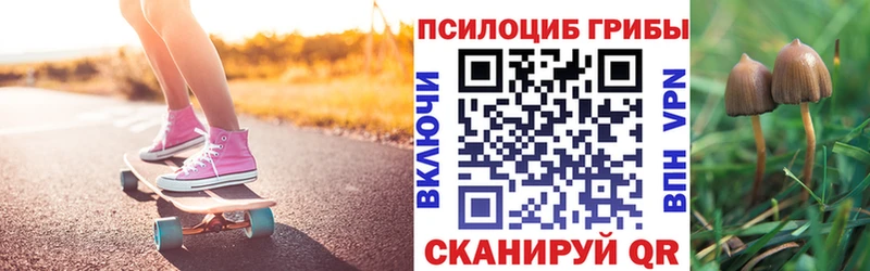 Галлюциногенные грибы Psilocybine cubensis  Барабинск 