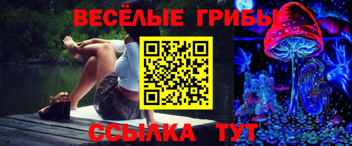 Галлюциногенные грибы Psilocybine cubensis  Вход с VPN  Барабинск 