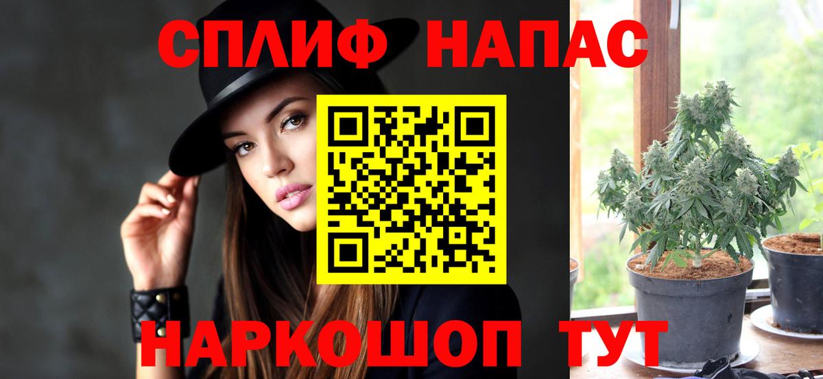 Канабис семена Барабинск